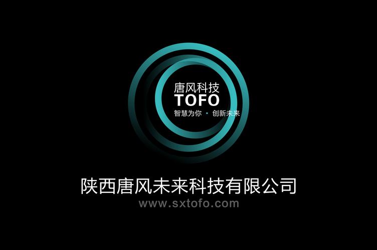 陕西唐风未来科技